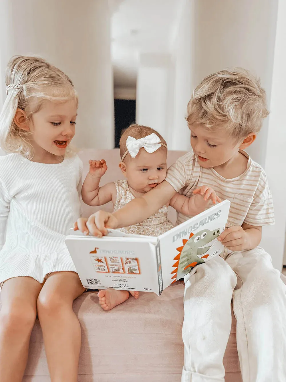 Dinosaur Board Book - LilBigWorld