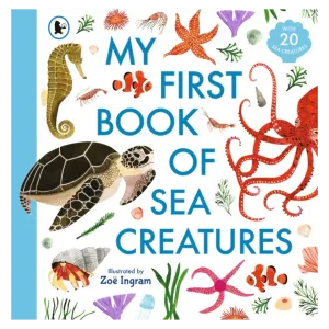 My First Book of Sea Creatures - Zoë Ingram