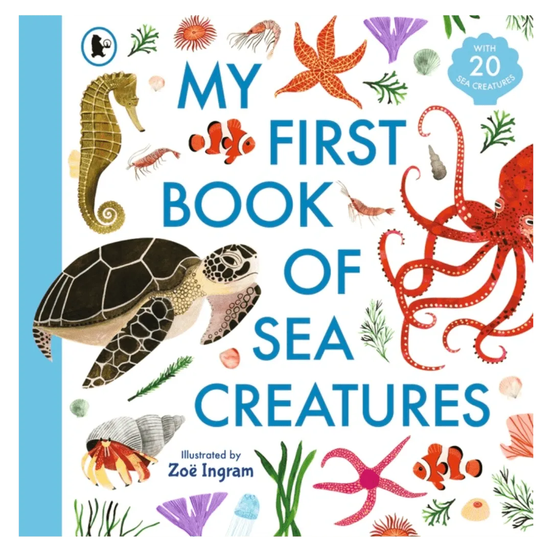 My First Book of Sea Creatures - Zoë Ingram