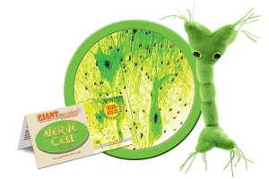 Nerve Cell (Neuron) Giant Microbes Plush