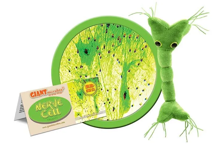 Nerve Cell (Neuron) Giant Microbes Plush